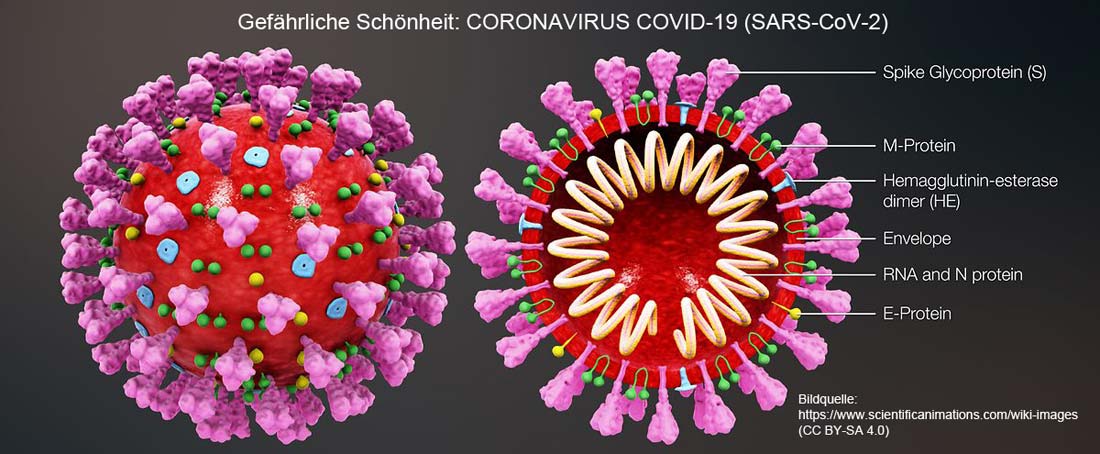 Eine gefährliche Schönheit im Detail: das Corona-Virus
