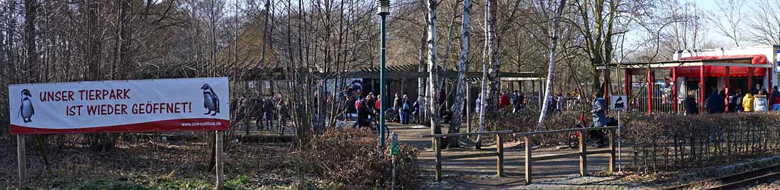 Der Tierpark öffnete wieder - und wurde promt von Besuchern überrannt