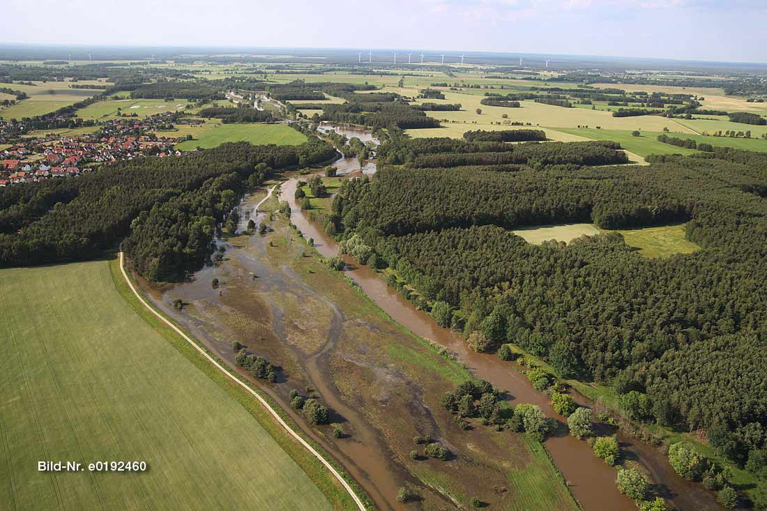 Spree nördlich von Cottbus im Juni 2013