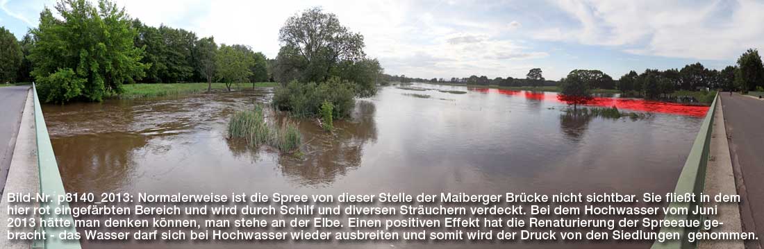 Bild-Nr. p8140_2013: Normalerweise ist die Spree von dieser Stelle der Maiberger Brücke nicht sichtbar. Sie fließt in dem hier rot eingefärbten Bereich und wird durch Schilf und diversen Sträuchern verdeckt. Bei dem Hochwasser vom Juni 2013 hätte man denken können, man stehe an der Elbe. Einen positiven Effekt hat die Renaturierung der Spreeaue gebracht - das Wasser darf sich bei Hochwasser wieder ausbreiten und somit wird der Druck von den Siedlungen  genommen.