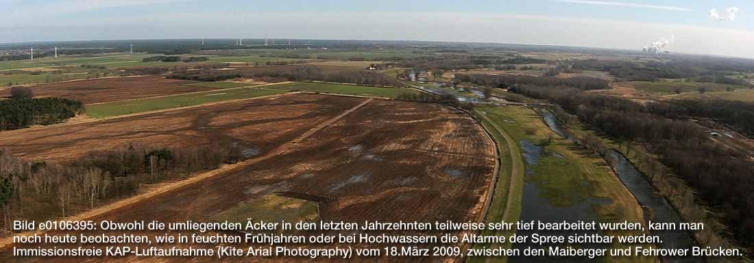 Bei sehr feuchter Witterung werden die Altarme der Spree wieder sichtbar, obwohl die Äcker jahrzentelang bearbeitet wurden...